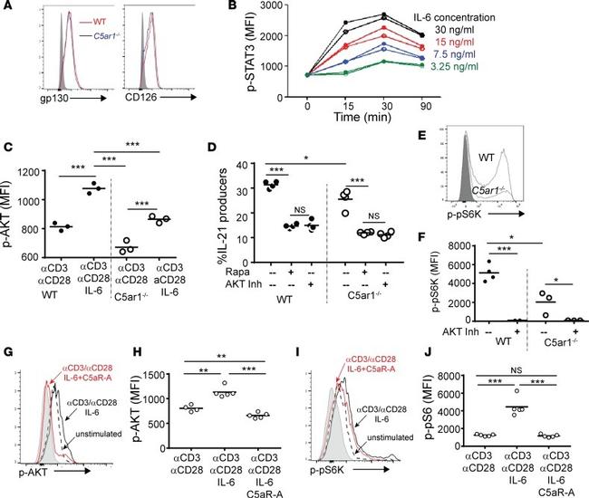 IL-21 Antibody in Flow Cytometry (Flow)