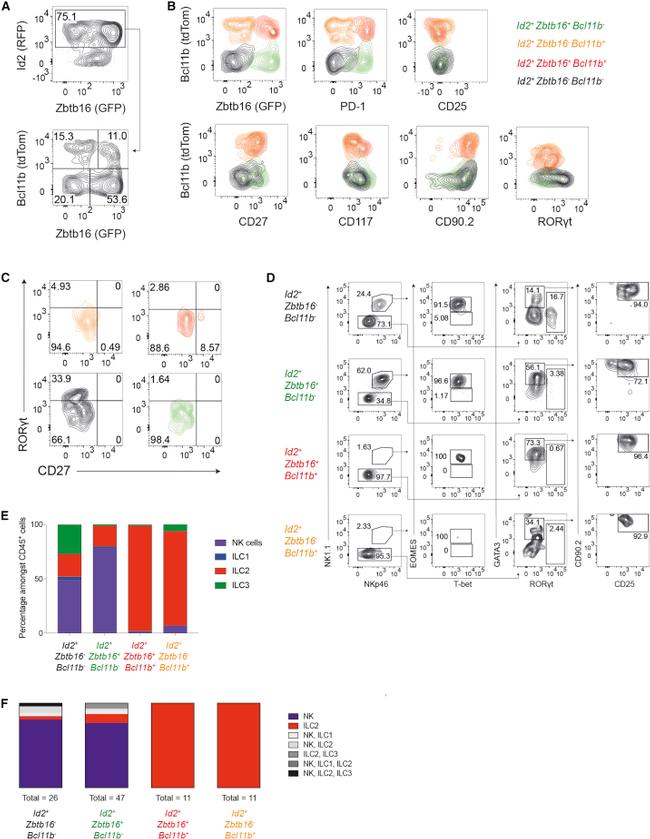 CD25 Antibody in Flow Cytometry (Flow)