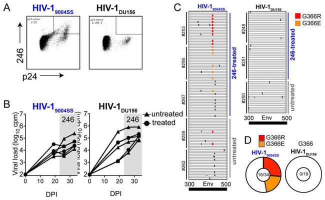 CD4 Antibody in Flow Cytometry (Flow)