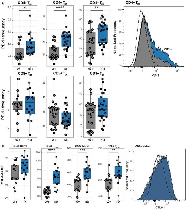 CD152 (CTLA-4) Antibody in Flow Cytometry (Flow)