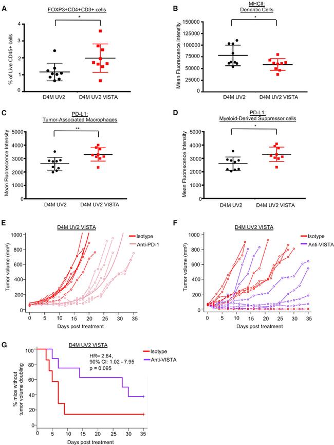 FOXP3 Antibody in Flow Cytometry (Flow)