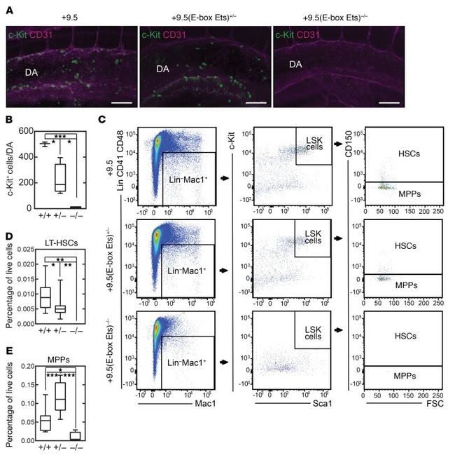 CD41a Antibody in Flow Cytometry (Flow)