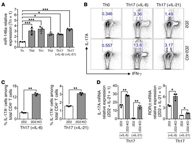 IL-17A Antibody in Flow Cytometry (Flow)