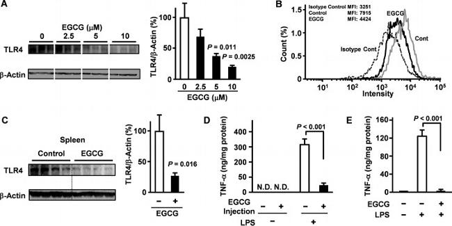 TLR4/MD-2 Complex Antibody in Flow Cytometry (Flow)