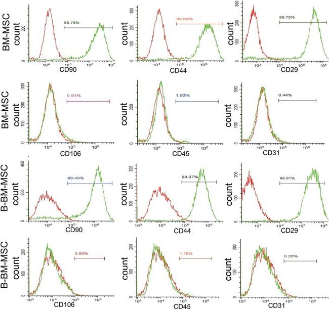 CD90.1 (Thy-1.1) Antibody in Flow Cytometry (Flow)