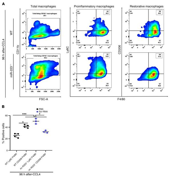 Ly-6G/Ly-6C Antibody in Flow Cytometry (Flow)