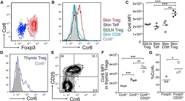 CD25 Antibody in Flow Cytometry (Flow)