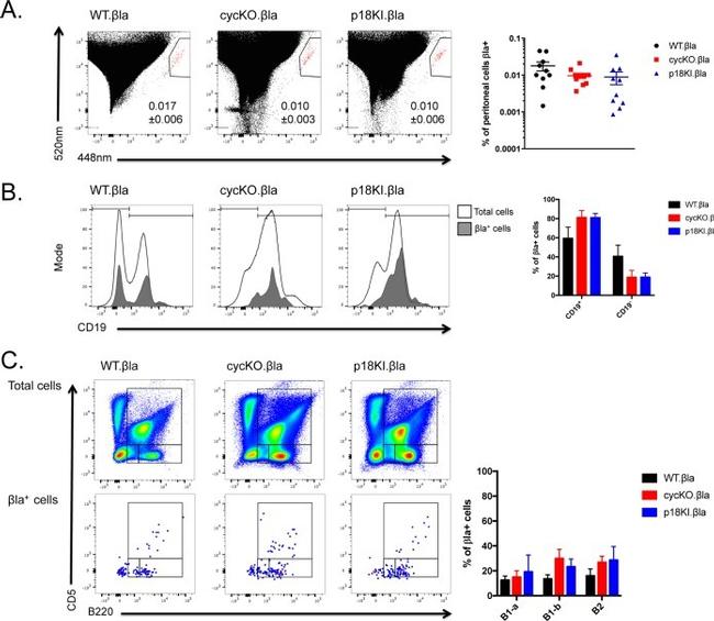 CD5 Antibody in Flow Cytometry (Flow)