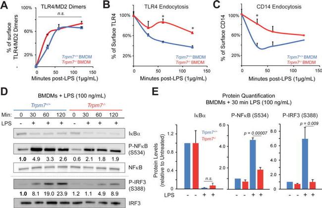 TLR4/MD-2 Complex Antibody in Flow Cytometry (Flow)