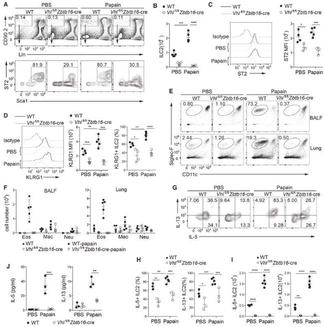 Ly-6G/Ly-6C Antibody in Flow Cytometry (Flow)