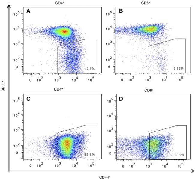 CD8a Antibody in Flow Cytometry (Flow)