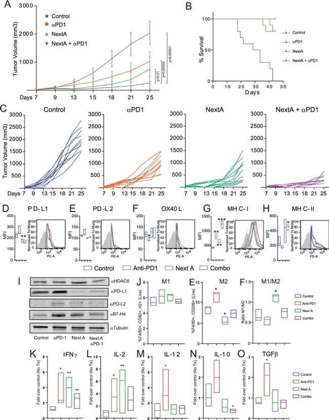 CD252 (OX40 Ligand) Antibody in Flow Cytometry (Flow)