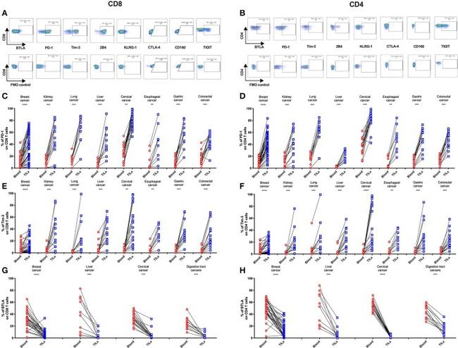 TIGIT Antibody in Flow Cytometry (Flow)