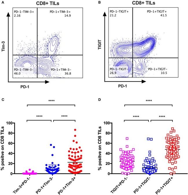 TIGIT Antibody in Flow Cytometry (Flow)