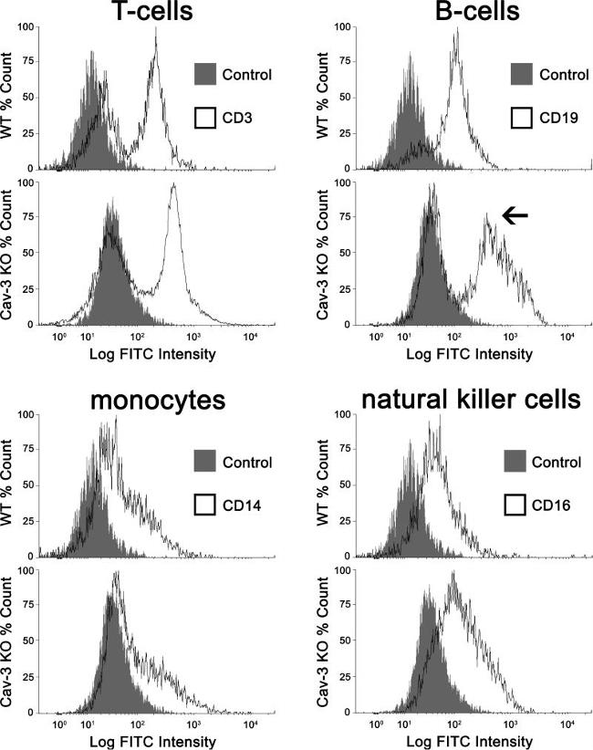 CD14 Antibody in Flow Cytometry (Flow)