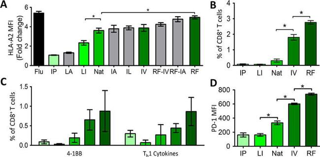 IL-2 Antibody in Flow Cytometry (Flow)