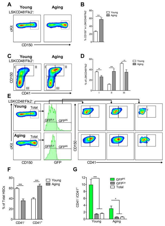 CD41a Antibody in Flow Cytometry (Flow)