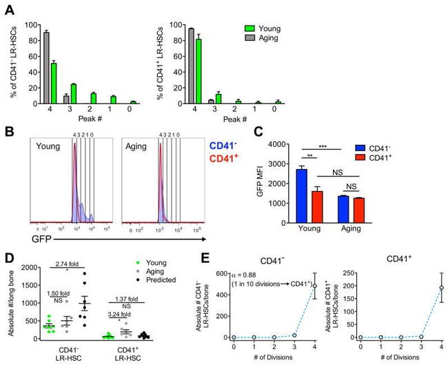 CD41a Antibody in Flow Cytometry (Flow)