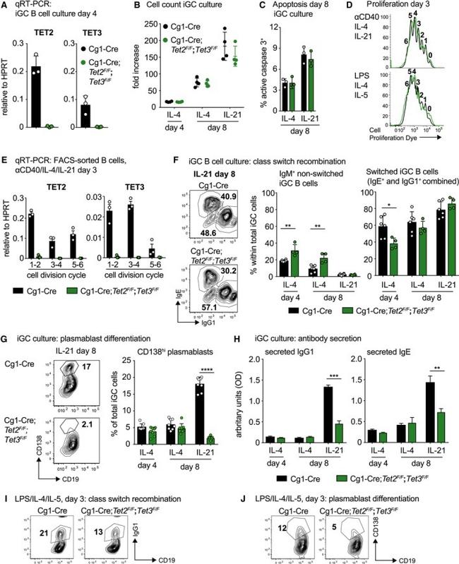 IgM Antibody in Flow Cytometry (Flow)