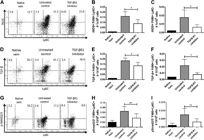 iNOS Antibody in Flow Cytometry (Flow)