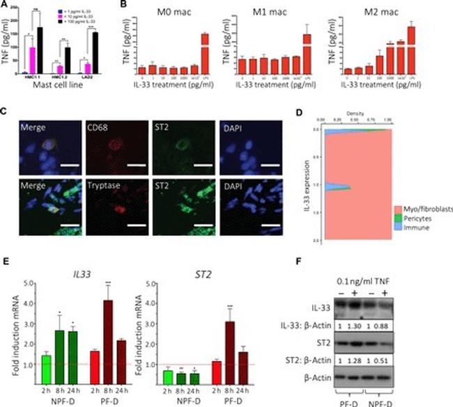 CD68 Antibody in Flow Cytometry (Flow)