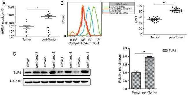 CD282 (TLR2) Antibody in Flow Cytometry (Flow)