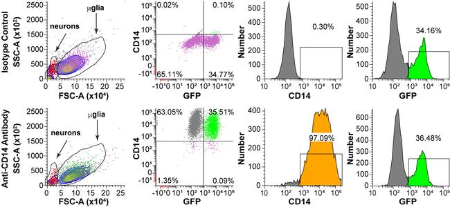 CD14 Antibody in Flow Cytometry (Flow)