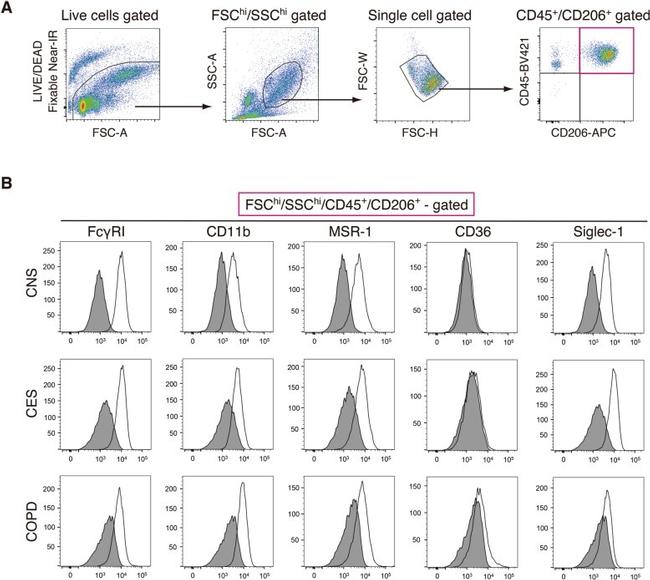 CD169 (Siglec-1) Antibody in Flow Cytometry (Flow)