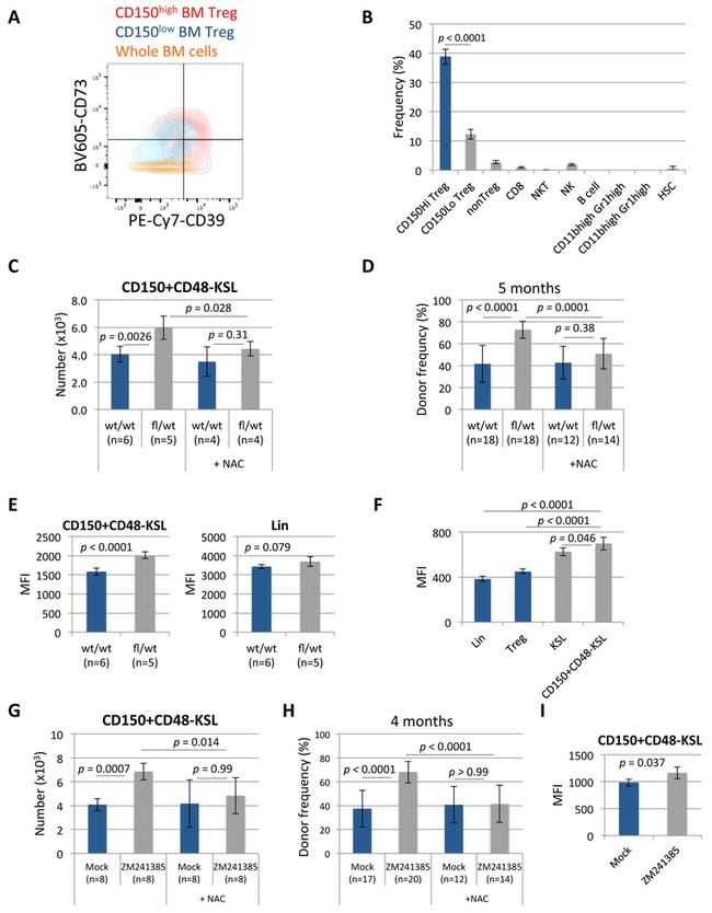 CD39 Antibody in Flow Cytometry (Flow)