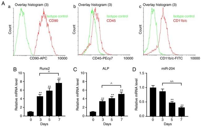 CD90 (Thy-1) Antibody in Flow Cytometry (Flow)