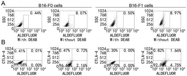 CD152 (CTLA-4) Antibody in Flow Cytometry (Flow)