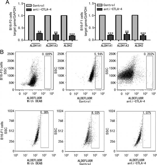 CD152 (CTLA-4) Antibody in Flow Cytometry (Flow)