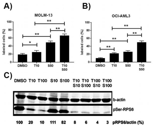 Phospho-S6 (Ser235, Ser236) Antibody in Western Blot (WB)