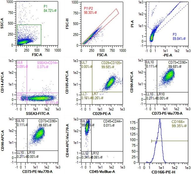 SSEA3 Antibody in Flow Cytometry (Flow)