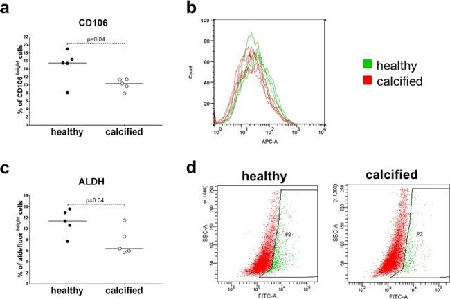 VCAM-1 Antibody in Flow Cytometry (Flow)