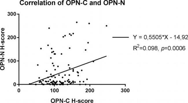 Osteopontin Antibody in Immunohistochemistry (IHC)