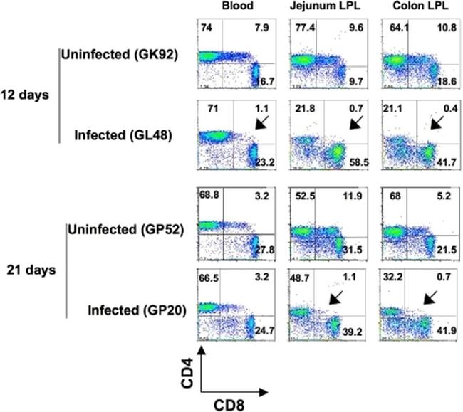 CD8 Antibody in Flow Cytometry (Flow)