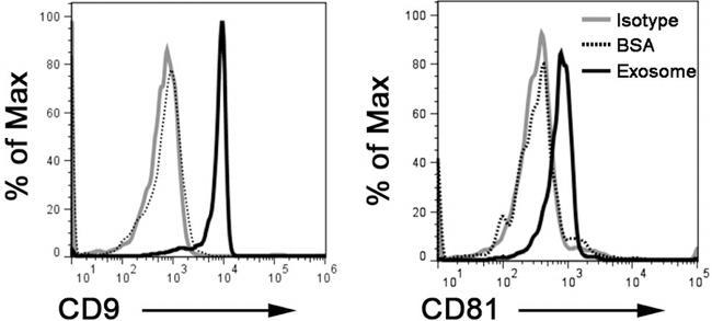 CD81 Antibody in Flow Cytometry (Flow)