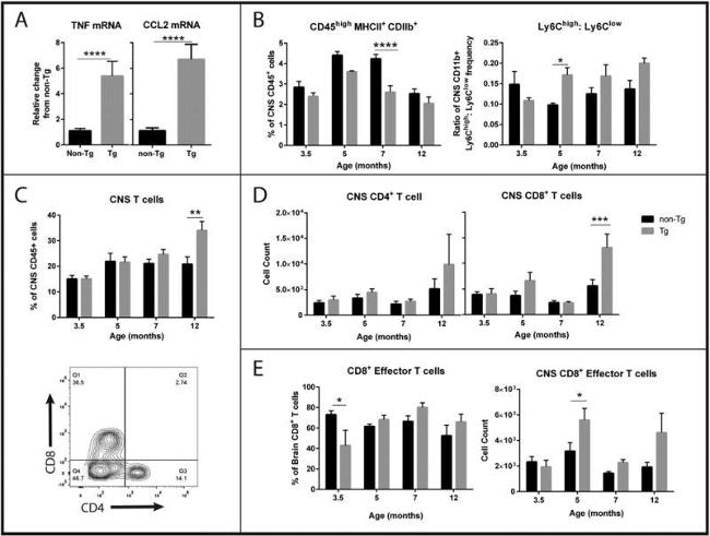 CD8b Antibody in Flow Cytometry (Flow)