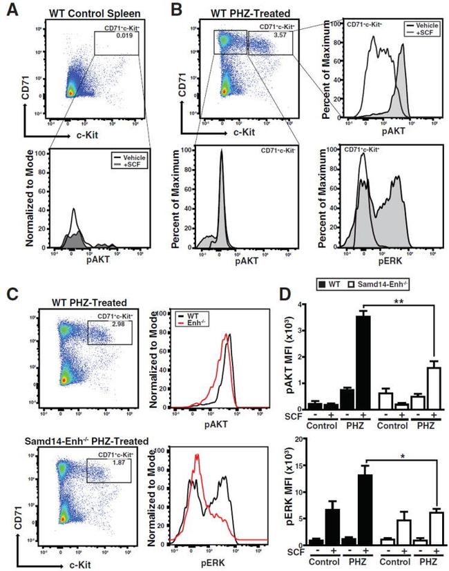 CD117 (c-Kit) Antibody in Flow Cytometry (Flow)