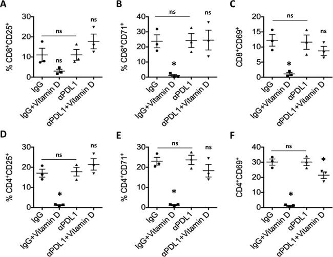 CD71 (Transferrin Receptor) Antibody