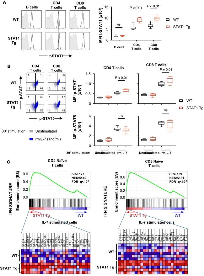 CD4 Antibody in Flow Cytometry (Flow)