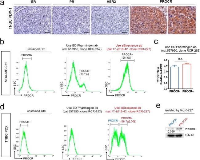 CD201 (EPCR) Antibody in Flow Cytometry (Flow)