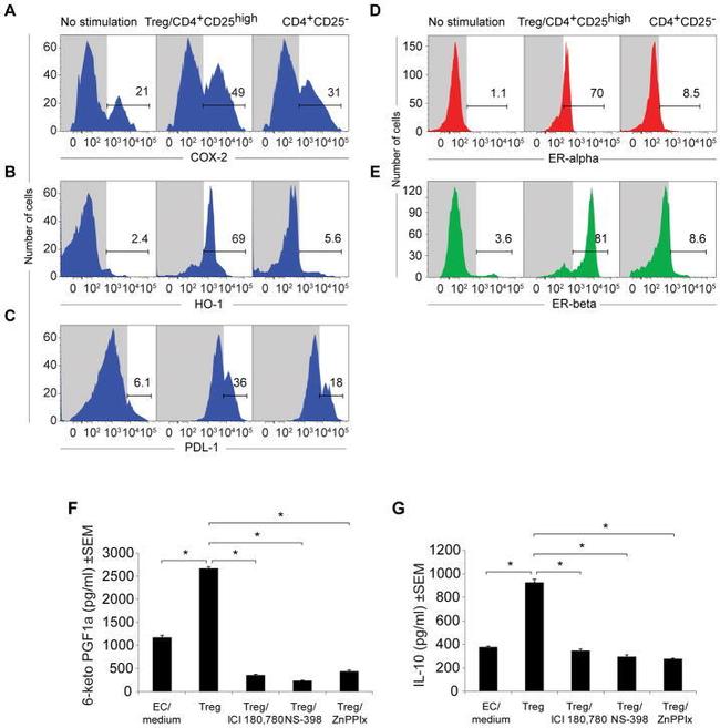 CD274 (PD-L1, B7-H1) Antibody in Flow Cytometry (Flow)