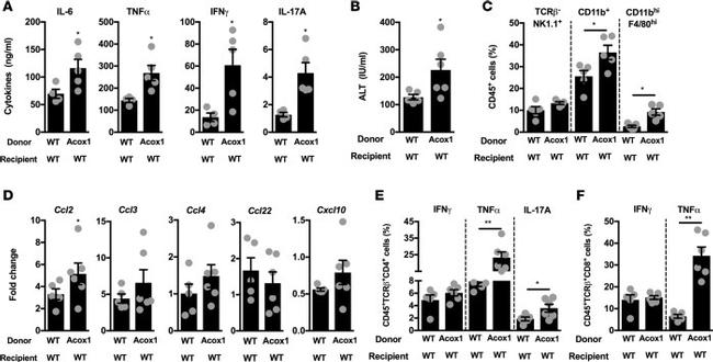 IFN gamma Antibody in ELISA (ELISA)