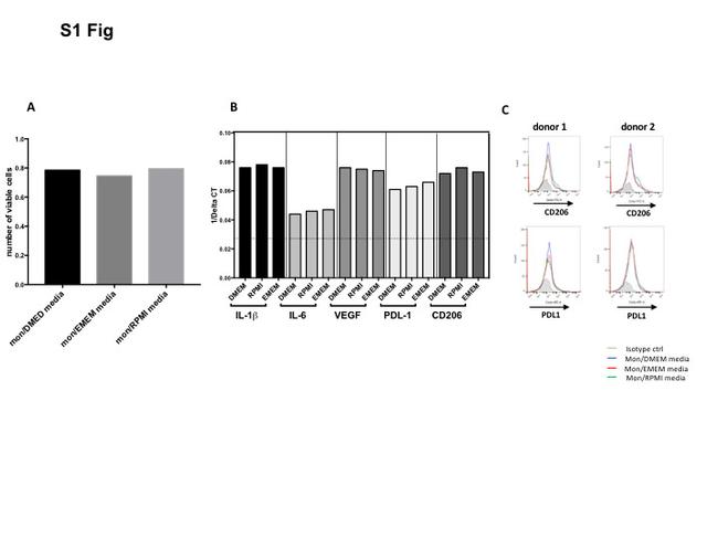 CD206 (MMR) Antibody in Flow Cytometry (Flow)