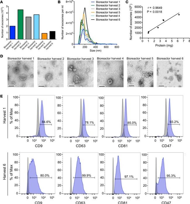 CD9 Antibody in Flow Cytometry (Flow)