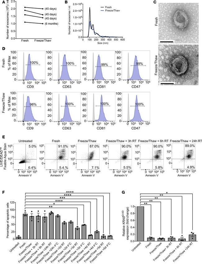 CD47 Antibody in Flow Cytometry (Flow)