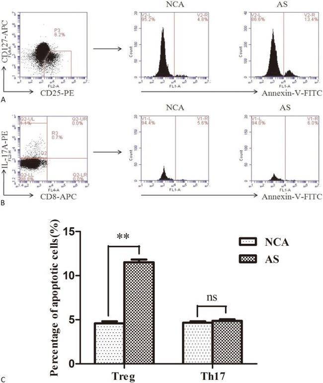 CD127 Antibody in Flow Cytometry (Flow)