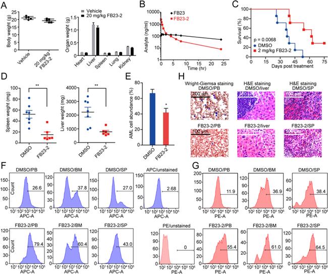 CD15 Antibody in Flow Cytometry (Flow)